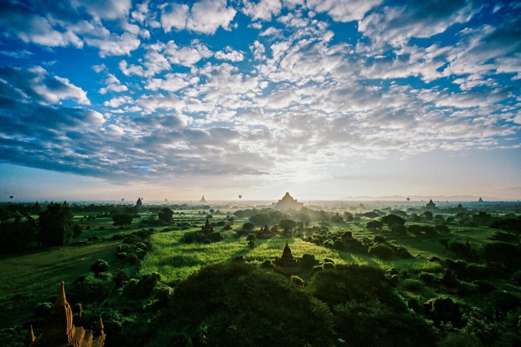 a landscape with trees and a mountain in the distance