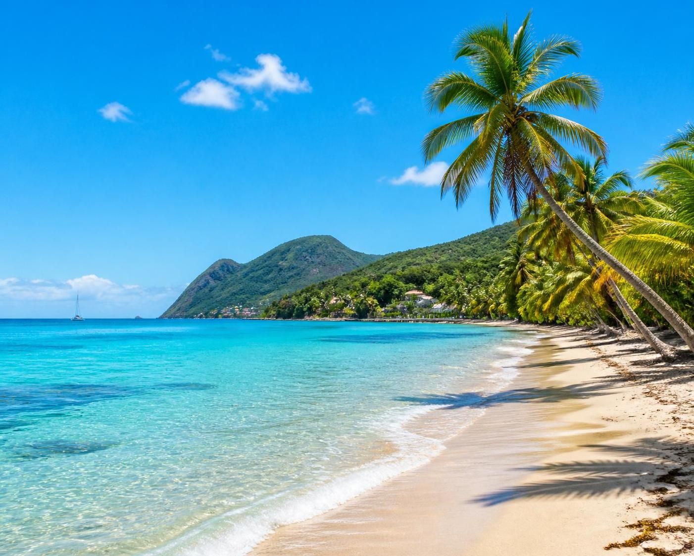 découvrez quand partir en martinique pas cher et profitez de nos astuces pour un voyage économique sans compromettre le plaisir. guide pratique pour des vacances inoubliables à petit prix.